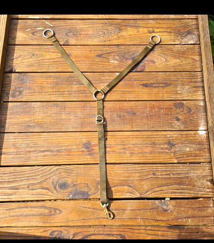 Horse tack headstalls beast - horse,